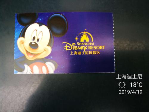 车行二百多公里, 来到上海浦东迪士尼乐园, 门票是今早从网上订沟的