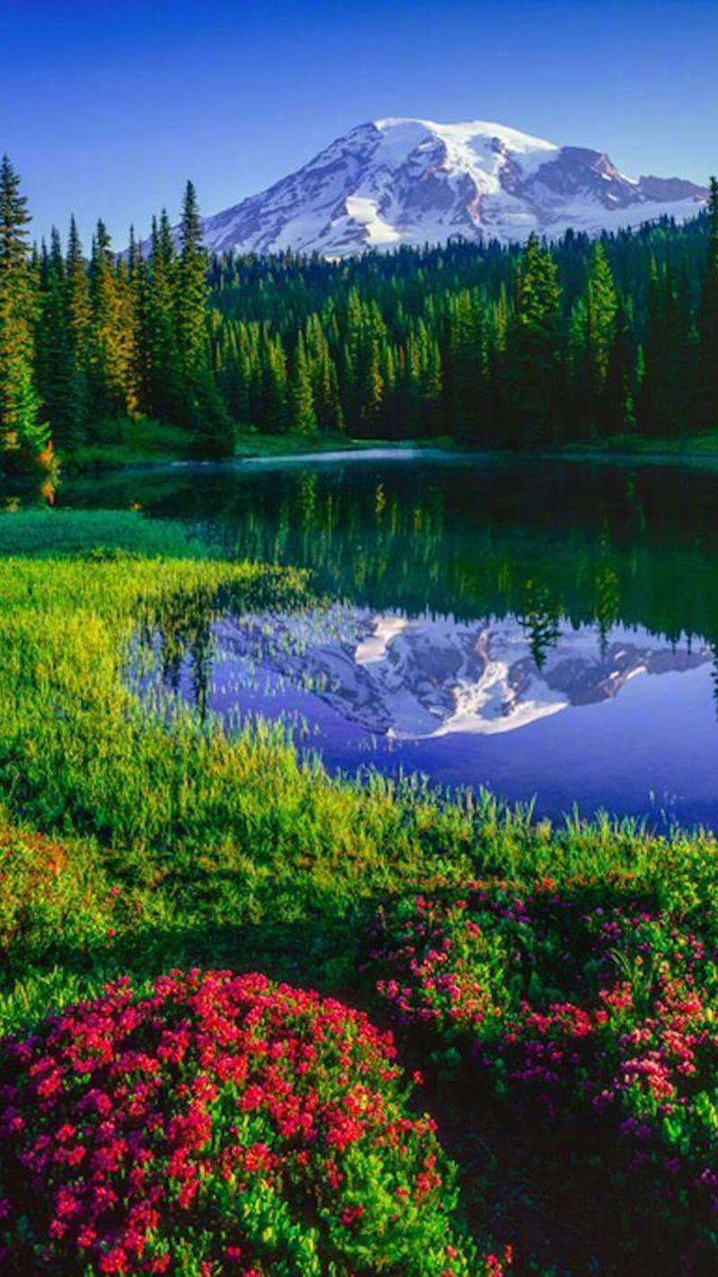 唯美自然风景图片高清手机壁纸