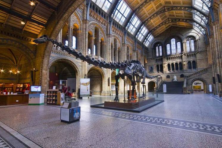 快去看. 伦敦自然博物馆里的那头恐龙要被撤掉换成这货了!