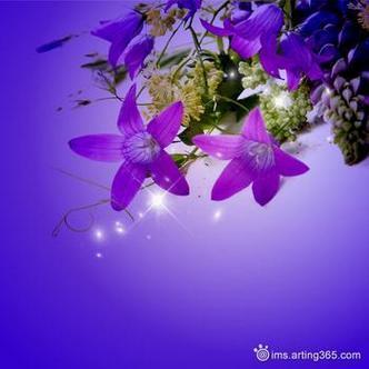 唯美浪漫的紫色花卉qq意境头像图片分享