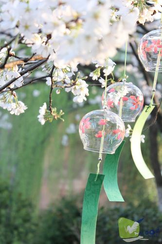 樱花日式风铃 日本玻璃风铃 和风饰品挂件 支持来图定制混批采购