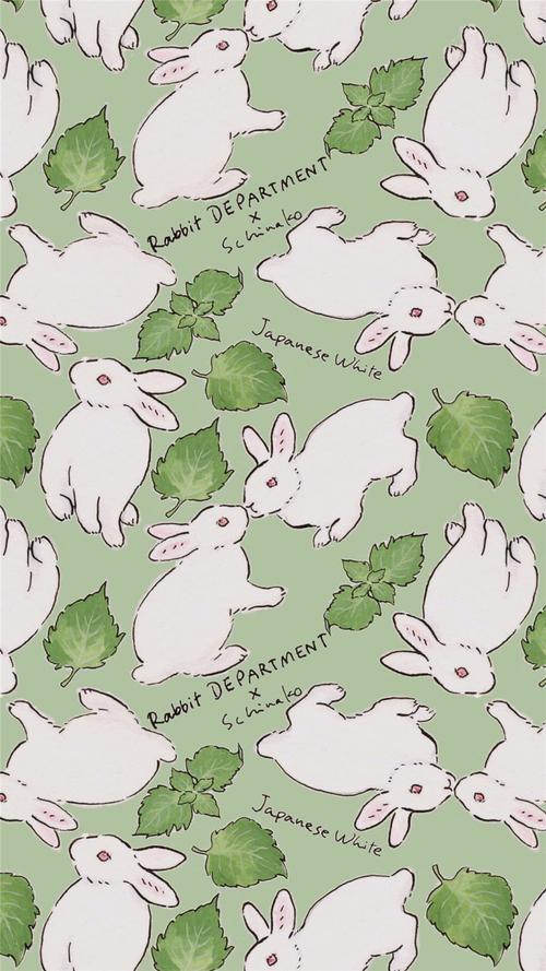 创意卡通兔子唯美高清手机壁纸