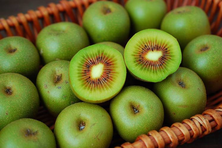这猕猴桃不普通维c含量比苹果高80倍蜜汁一样甜连吃3个