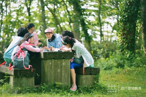 北海道亲子夏令营丨父母的陪伴是孩子最美好的假期记忆