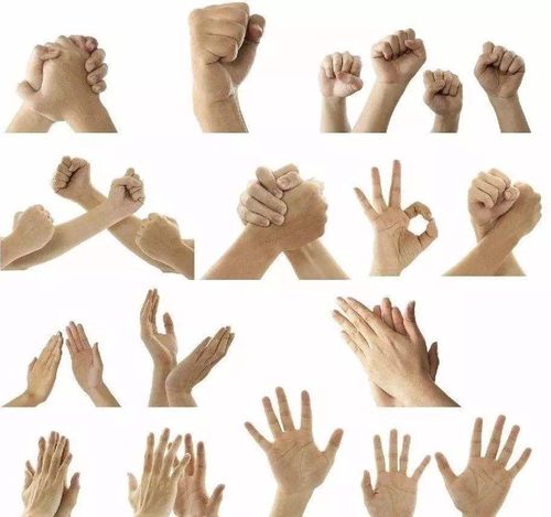 手语中的一种,以手的动作和面部表情表达思想,进行交际的手段.