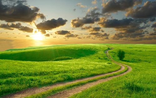 美丽的绿草,早晨,小山,路,云彩,日出 壁纸 - 1920x1200