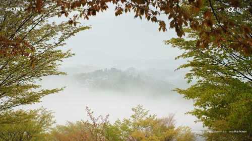 日本吉野山世界最美24小时旅游胜地壁纸