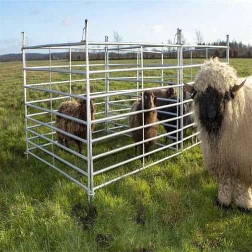 产地供应羊栅栏 养殖场牧场牛围栏栅栏 牧区圈马围栏网 雄天