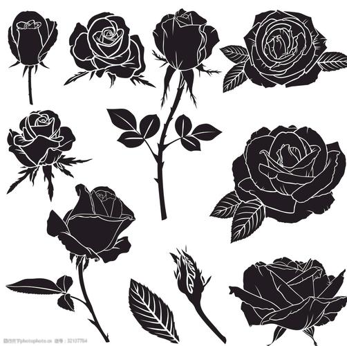 黑白 叶子 玫瑰 剪影 线条 请柬 设计 底纹边框 花边花纹 eps