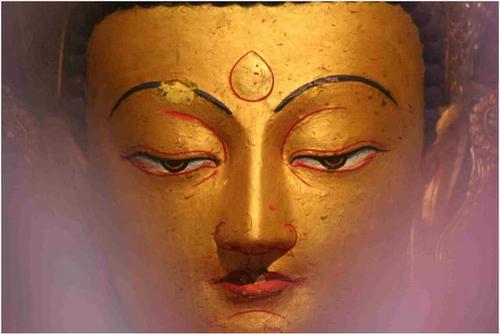 佛教肉眼,天眼,法眼,慧眼,佛眼五眼,是指从凡夫至佛位,对于事物现象终